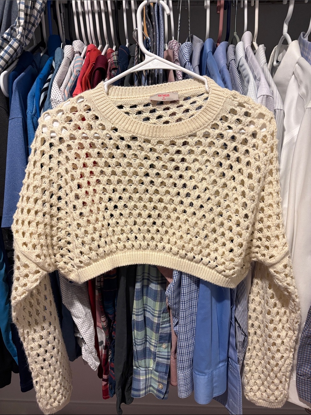 Open-Knit Cropped Crewneck Sweater in Cream